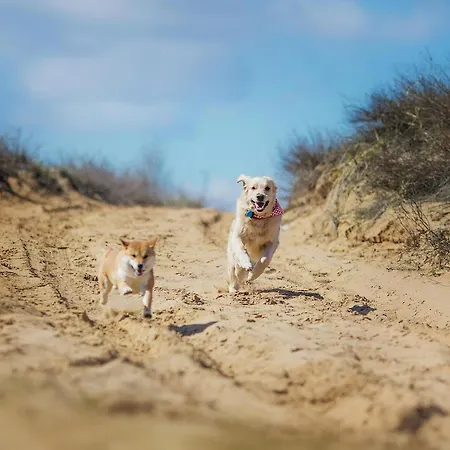 アパート Aufwind Ii Haushaelfte *