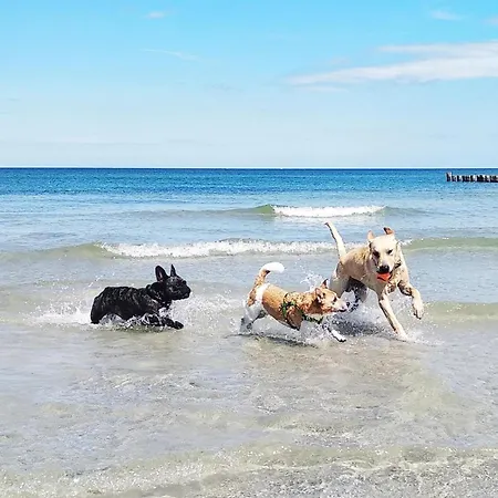 Aufwind Ii Haushaelfte *